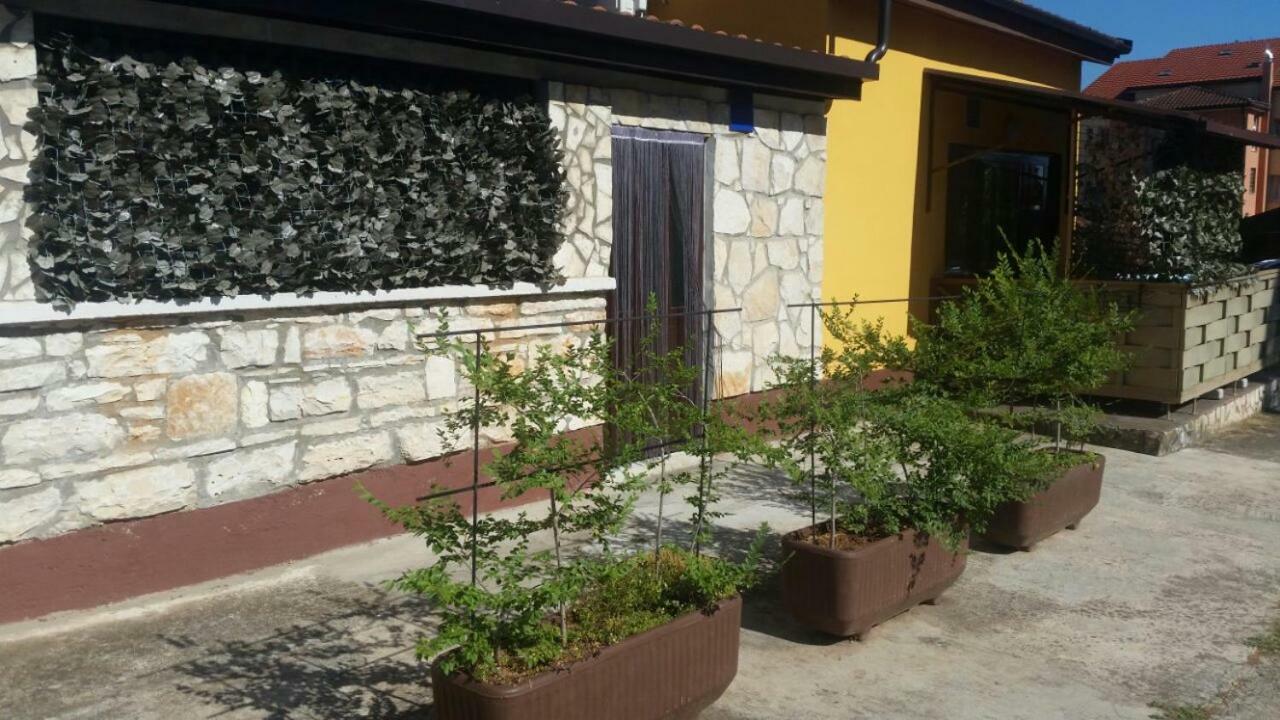 Apartments Ingrid Новиград Екстериор снимка